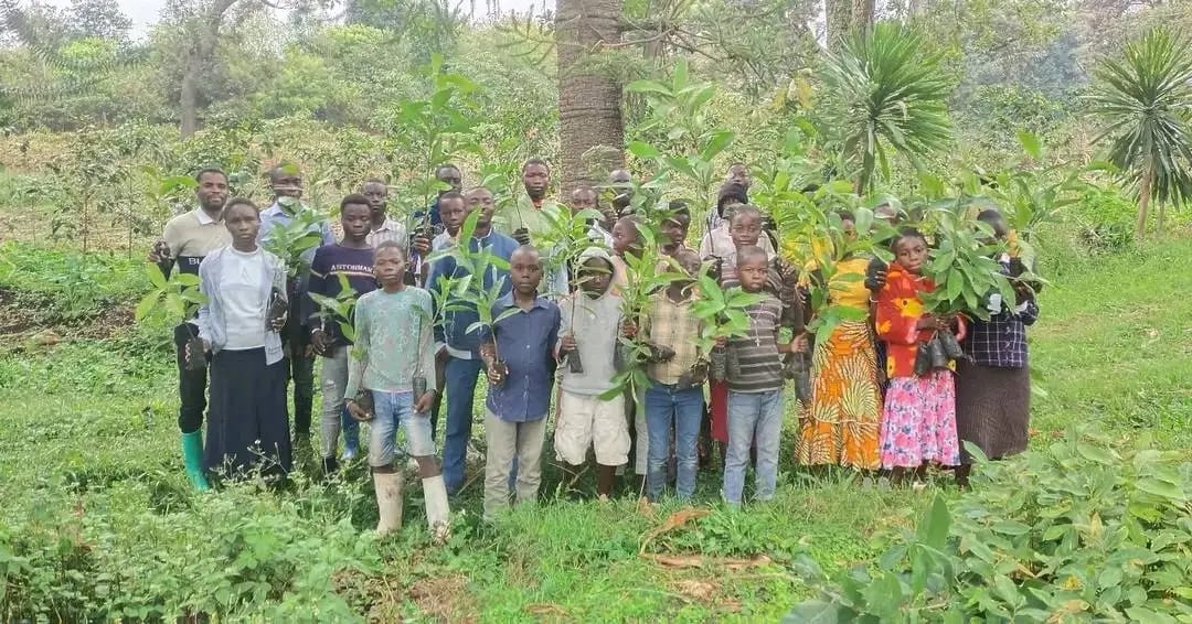 BIODIVERSITÉ, ENVIRONNEMENT ET CHANGEMENT CLIMATIQUE
